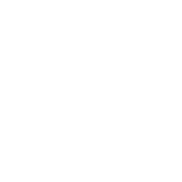 Jiu Jitsu Tora Glabbeek Logo